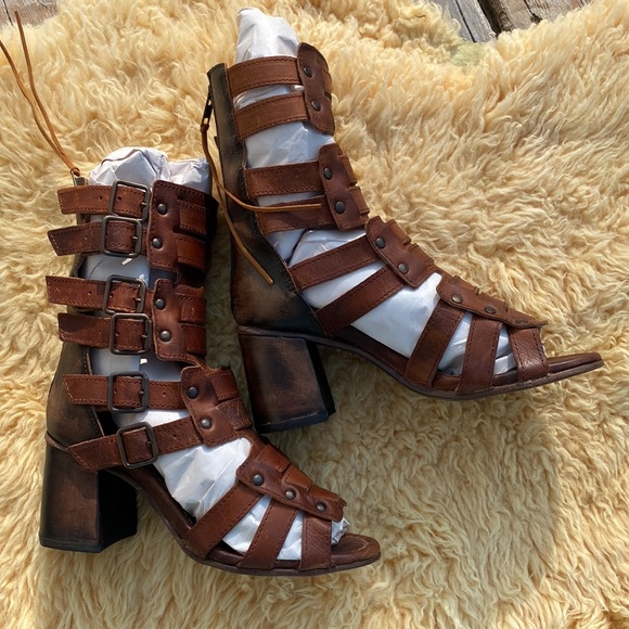 Brand new FREEBIRDS! These are the Beautiful ZUES. - Picture 2 of 7